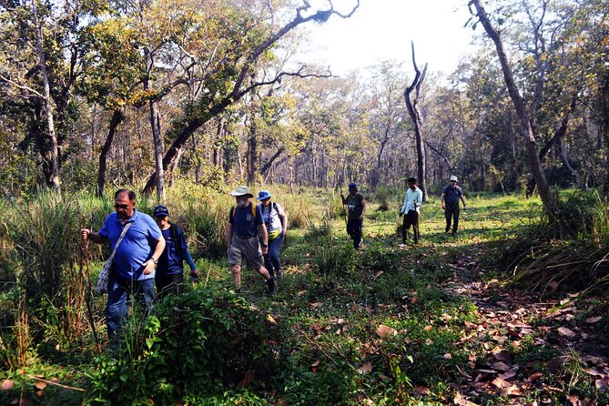 Chitwan Jungle Safari 3-Day Tour - The Tharu program adds more than a quick photo stop