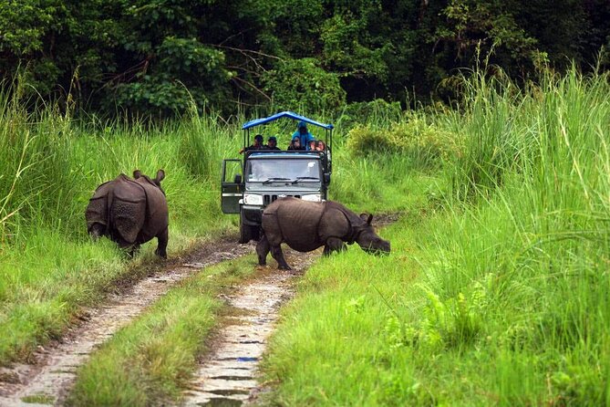 Chitwan Jungle Safari 3-Day Tour - Day three: breakfast, bus station, and the return to Kathmandu
