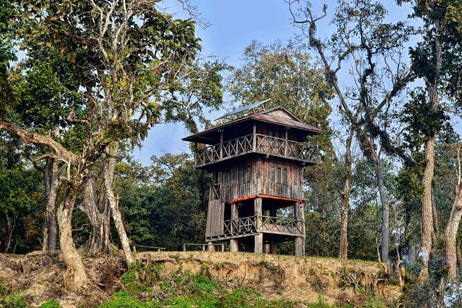 Chitwan Jungle Safari 3-Day Tour - Day one: Kathmandu to Chitwan and the Tharu village