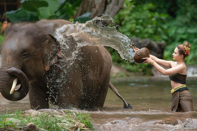 Chitwan National Park Tour - Why Chitwan makes a useful break from Kathmandu