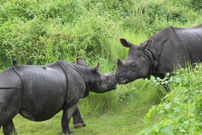 Chitwan National Park Tour - Canoeing and a short jungle walk on day two