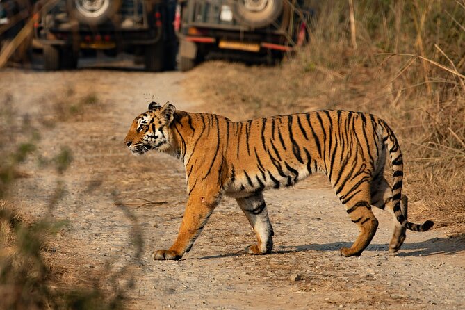 Chitwan National Park Tour - Dinner and another Tharu cultural program