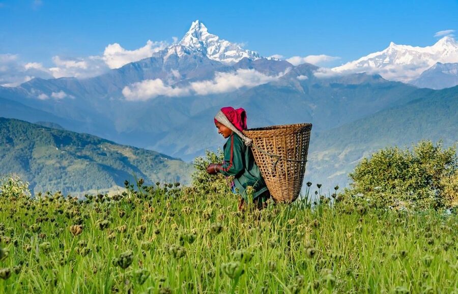 Day Hike at Annapurna Foothills - What makes this Annapurna day hike worthwhile