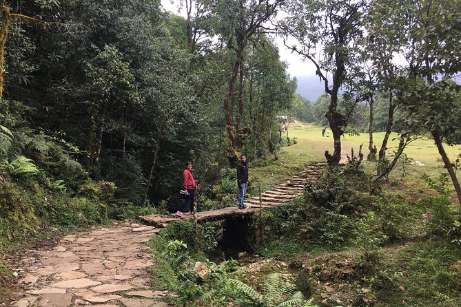 Day hiking to Dhampus - Astam Village - Key points to know before booking