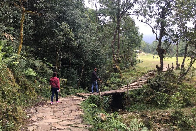 Day hiking to Dhampus - Astam Village - From Lakeside to Phedi, the walk begins