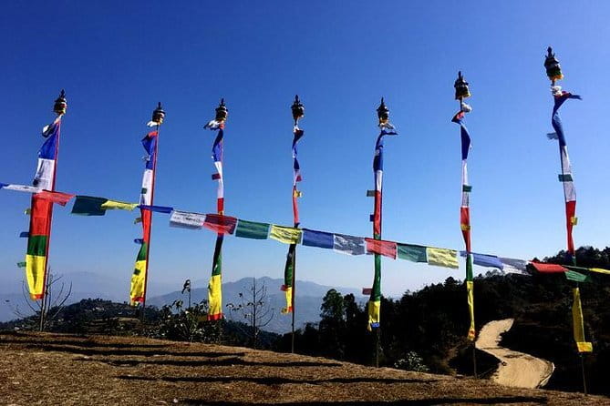 Discover Nepal’s Treasures: A 9-Day Private Tour - Day 4: Canoeing, birds, and Chitwan wildlife