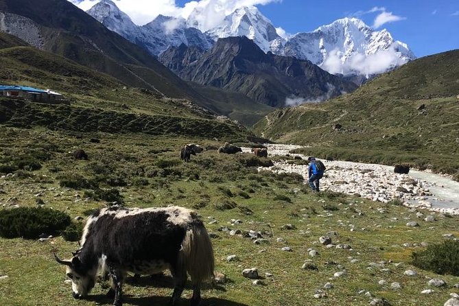 Everest Base Camp Helicopter Tour landing at Everest View Hotel - What the $1,575 price really buys