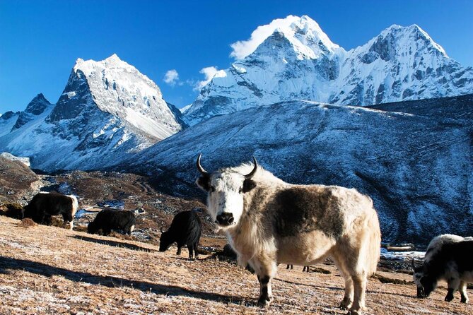 Everest Base Camp Trekking - What makes this Everest trek worth considering