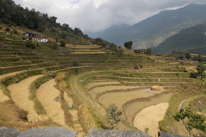 Experiential Career Break trip to Nepal for Gap year and Sabbatical travelers - Day 1: Monkeys, palace courtyards, and Kathmandu markets