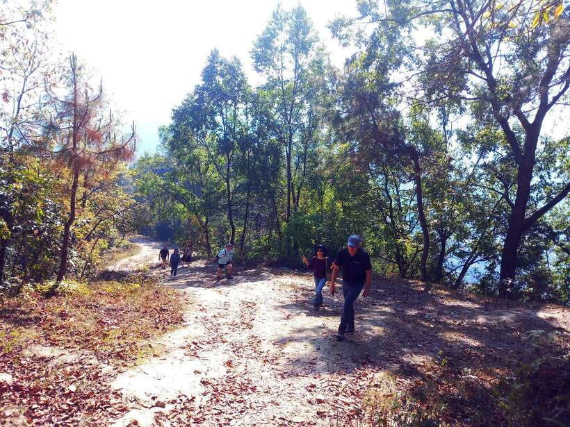 From Kathmandu: 3-Day Chisapani-Nagarkot Trek & Bhaktapur - Day three: the forest path down to Changu Narayan