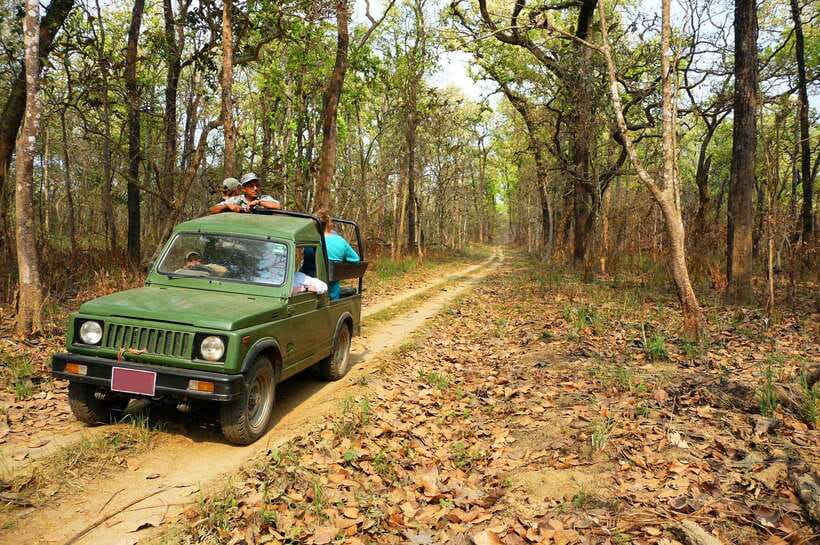 From Kathmandu/Pokhara: 2, 3, or 4-Day Chitwan Jungle Safari - Key points before you book