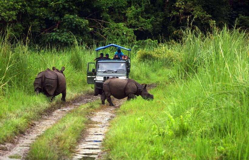 From Kathmandu/Pokhara: 2, 3, or 4-Day Chitwan Jungle Safari - Canoe rides, jungle walks, and early bird watching
