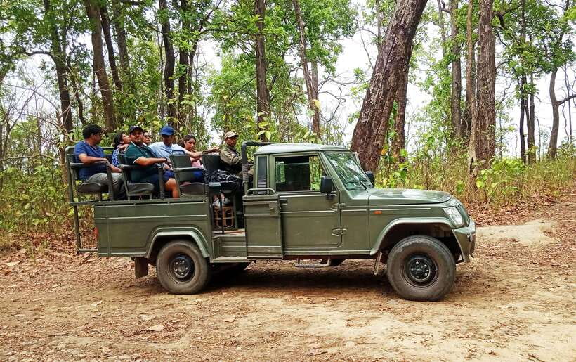 From Kathmandu/Pokhara: 2, 3, or 4-Day Chitwan Jungle Safari - The four-day jungle tower night