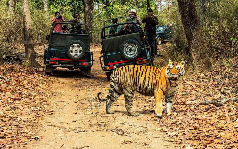 From Kathmandu/Pokhara: 2, 3, or 4-Day Chitwan Jungle Safari - First afternoon: Tharu village and sunset