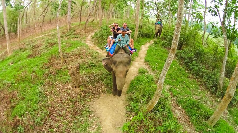 From Kathmandu/Pokhara: 3-Day All-Inclusive Chitwan Safari - Key points to know before you go