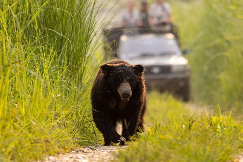 From Kathmandu/Pokhara: 3-Day Chitwan National Park Tour - Who should book this Chitwan tour?
