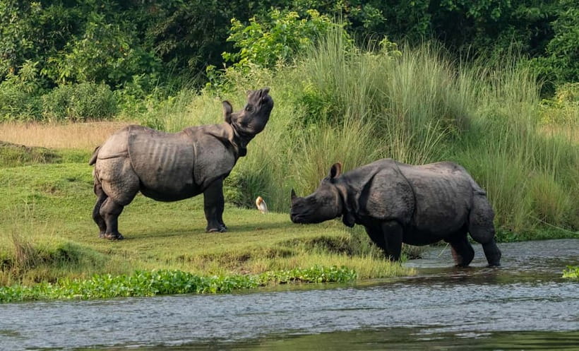 From Kathmandu/Pokhara: 3-Day Chitwan National Park Tour - Day One: The road, Sauraha, and the first sunset