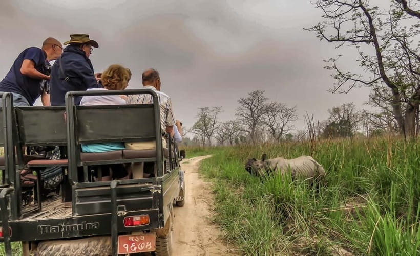 From Kathmandu/Pokhara: 3-Day Chitwan National Park Tour - The afternoon jeep safari and the animals you may see