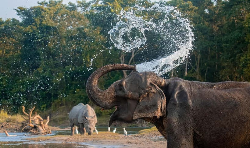 From Kathmandu/Pokhara: 3-Day Chitwan National Park Tour - What the $136 price really covers