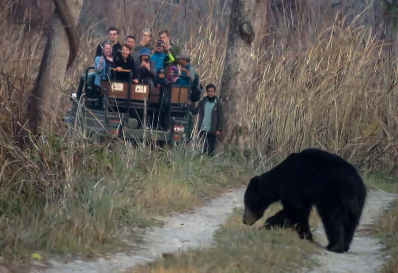 From Kathmandu/Pokhara: 3-Day Chitwan National Park Tour - Getting from Kathmandu or Pokhara to Chitwan
