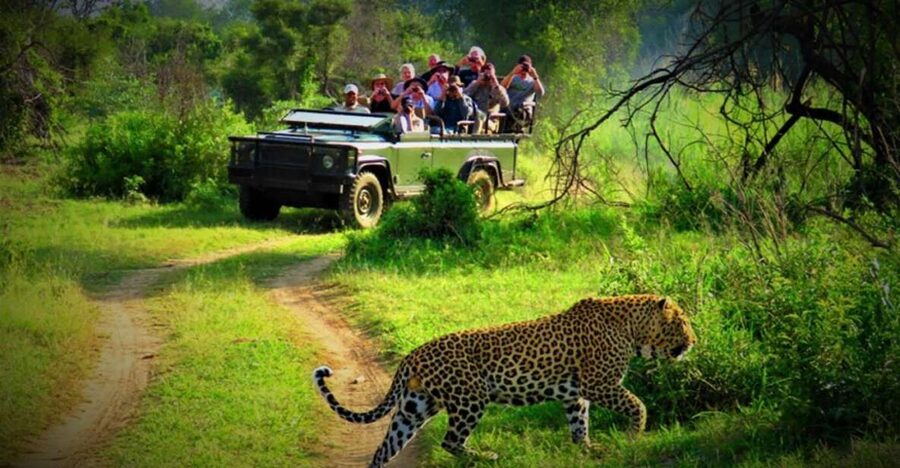 From Kathmandu/Pokhara: Private 3-Day Chitwan Safari Tour - Why this three-day Chitwan plan works