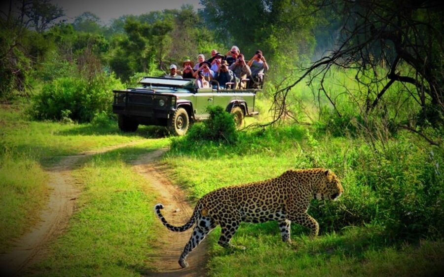 From Kathmandu/Pokhara: Private 3-Day Chitwan Safari Tour - Cultural show and Nepali dinner
