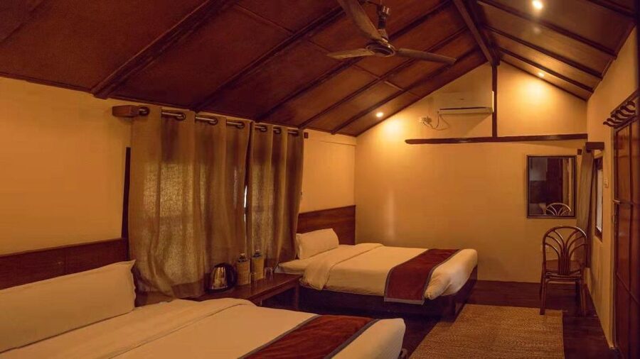 From Kathmandu/Pokhara: Private 3-Day Chitwan Safari Tour - Safari Adventure Lodge and the two-night stay