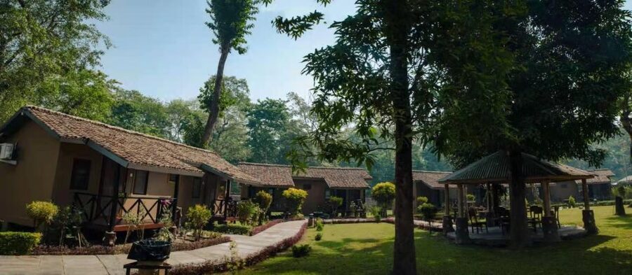 From Kathmandu/Pokhara: Private 3-Day Chitwan Safari Tour - The Rapti River canoe ride after lunch