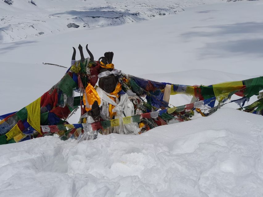 From Pokhara: 10-Day Poon Hill and Annapurna Base Camp Trek - Day 6: Bamboo to Deurali at 3,230 meters