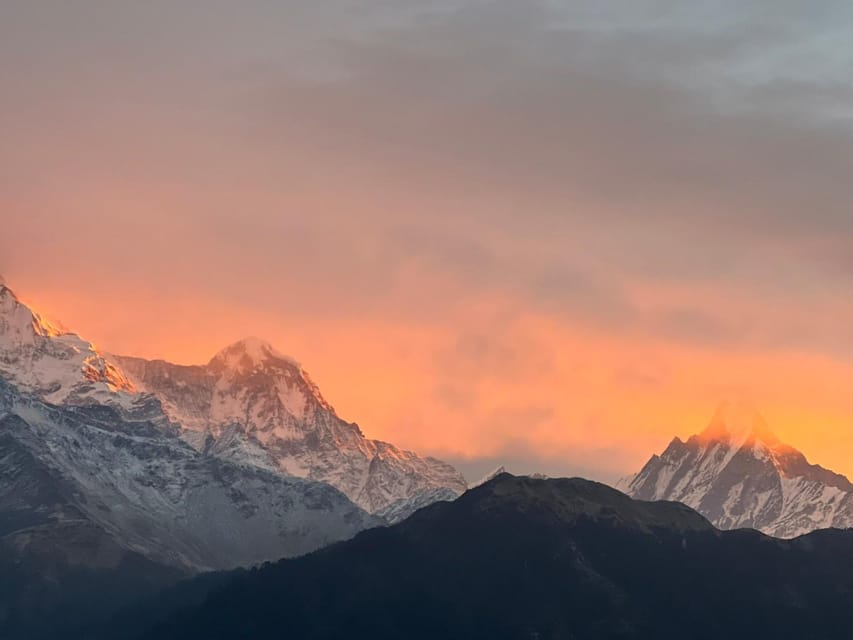 From Pokhara: 2 Day 1 Night Ulleri,Ghorepani Poon Hill Trek - Ulleri to Ghorepani through rhododendron forest
