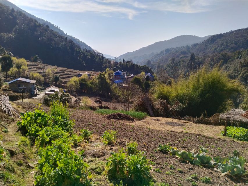 From Pokhara: 4-Day Annapurna and Poon Hill Himalayan Trek - Key Points Before You Book