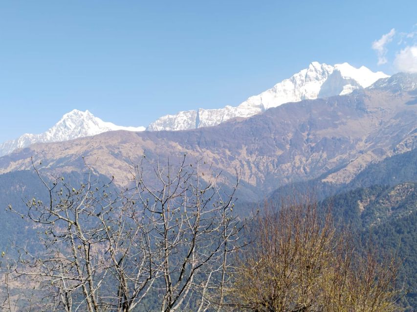 From Pokhara: 4-Day Annapurna and Poon Hill Himalayan Trek - Should You Book the Poon Hill Trek?