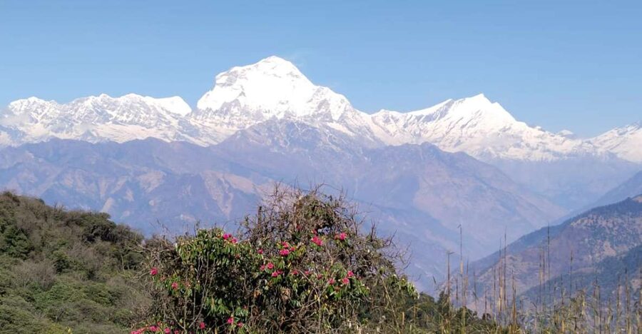 From Pokhara: 4-Day Annapurna and Poon Hill Himalayan Trek - Day One: From Pokhara to Ulleri and Up to Ghorepani