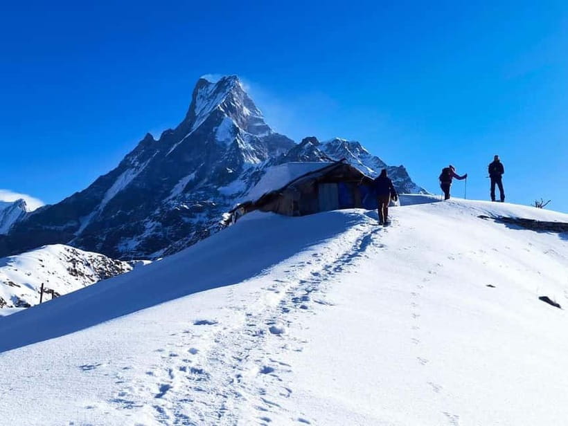From Pokhara: 4-Day Mardi Himal Base Camp Trek - Forest Camp to High Camp: The Hardest Climb