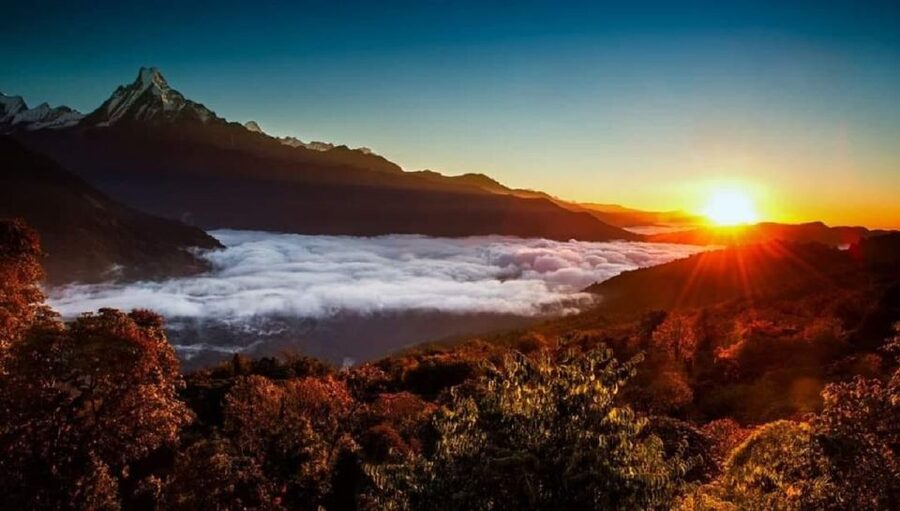 From Pokhara: 5-Day Annapurna Basecamp Trek with Hot Springs - From Sinuwa to Deurali through forest