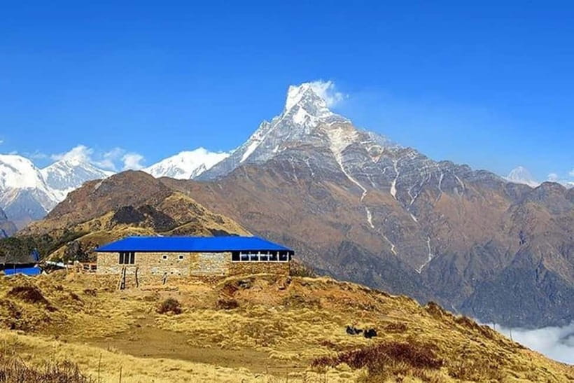 From Pokhara: 5-Day Mardi Himal Base Camp Trek - Day 3: The climb to Mardi Himal High Camp