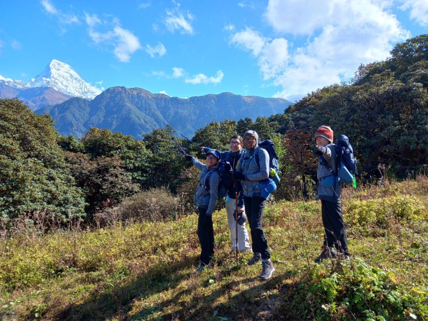 From Pokhara: Australian Camp & Dhampus 1, or 2-Day Trek - Key points at a glance
