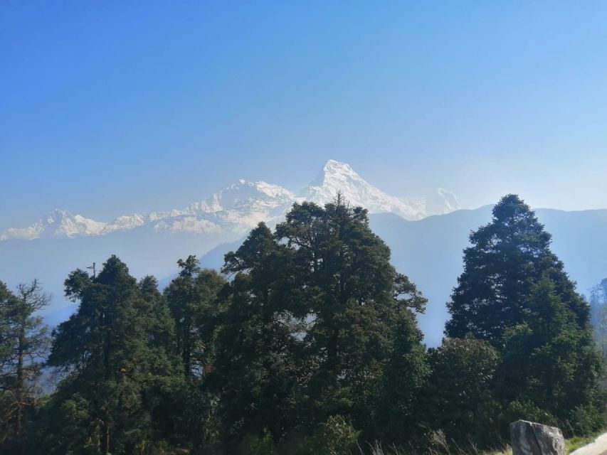 From Pokhara: Budget 2 Night 3 days Poon hill trek - The Guides And The Human Side Of The Trek