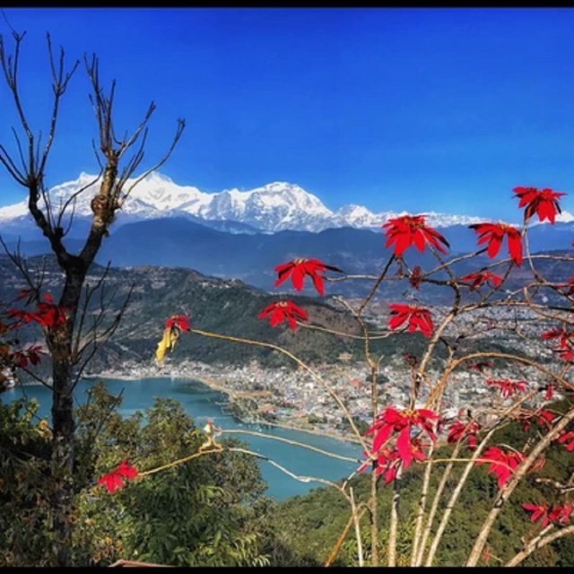 From Pokhara: Guided Tour to Visit 4 Himalayas View Point - Dhampus village and a slower look at rural Nepal