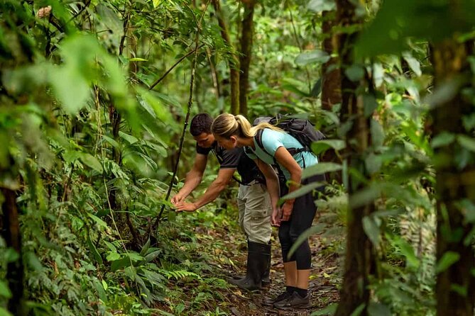 From Pokhara : Hiking to Peace Pagoda via Fewa Lake & Jungle - Who will enjoy this experience most