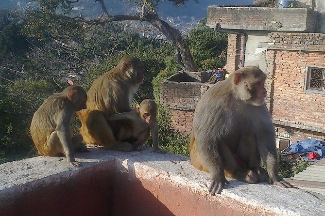 Full Day Kathmandu City Sightseeing Tour of UNESCO Heritage Sites - Guides can make or break the day