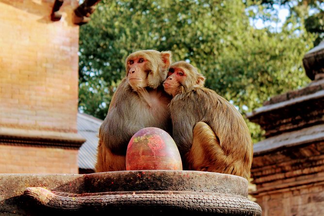 Full Day Private Tour of Kathmandu - UNESCO World Heritage Sites - Practical limits and useful planning tips