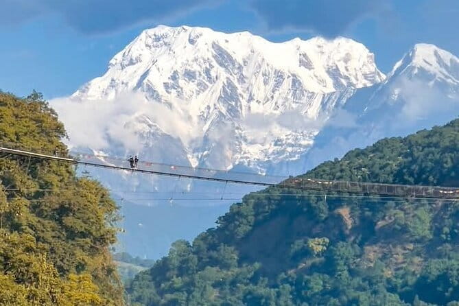 Full day Suspension Bridge, Boating, George, Sightseeing Tour - Key points to know before booking