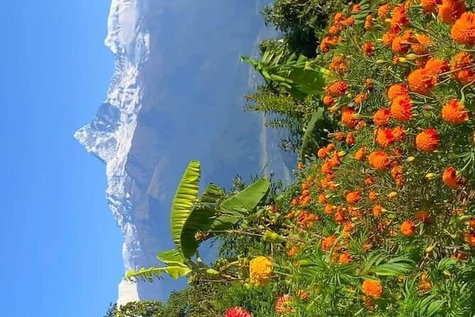Full day Suspension Bridge, Boating, George, Sightseeing Tour - The International Mountain Museum and Bindhyabasini Temple