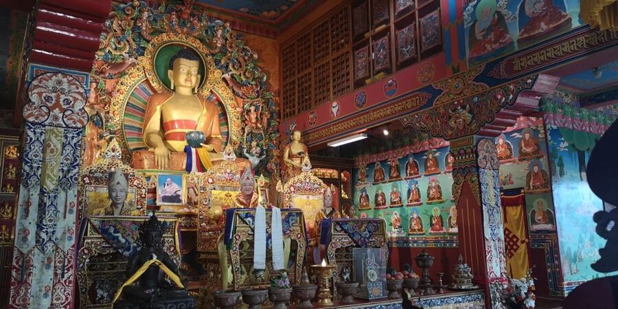 Full Day Tibetan Cultural Tour - Lunch with momos and thenthuk
