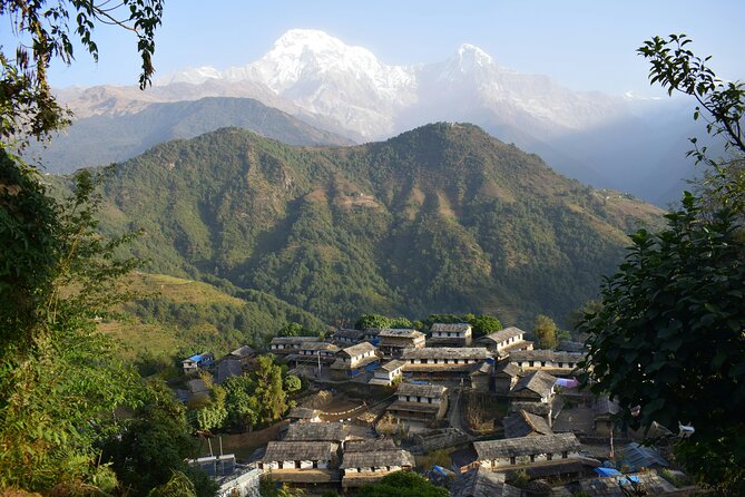 Ghorepani Ghandruk Wellness Yoga Trek - The Ghorepani climb is the trek’s main test