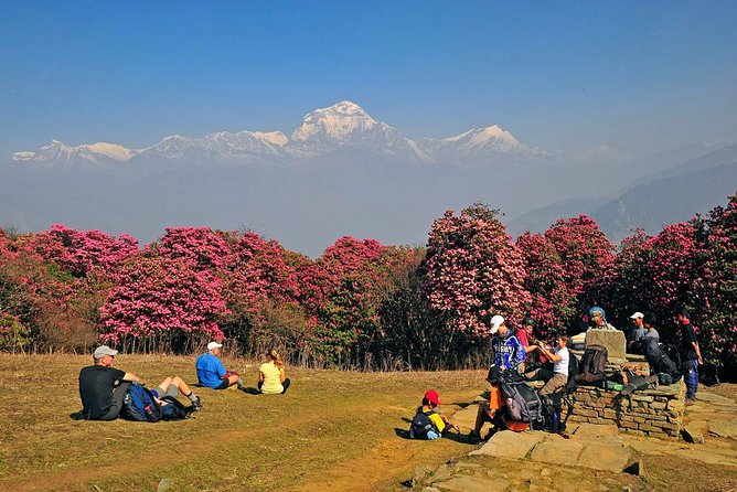 Ghorepani Poon Hill Trek - Why Poon Hill works for a short Nepal trek