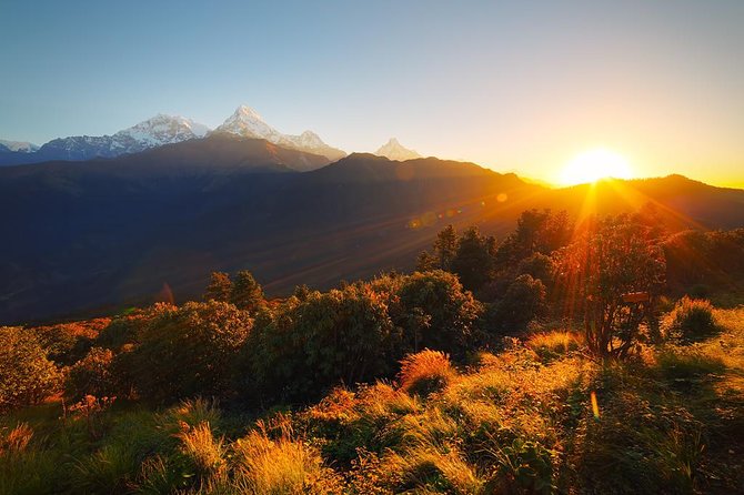 Ghorepani - Poon Hill Trek 3N-4D - The guide makes the biggest difference