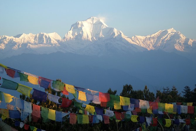 Ghorepani Poon Hill Trek - Day 4: Down through the hills to Ghandruk