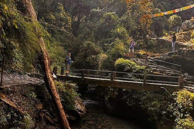 Ghorepani Poonhill Private Trek - 2 nights / 3 days - The long route toward Ghorepani